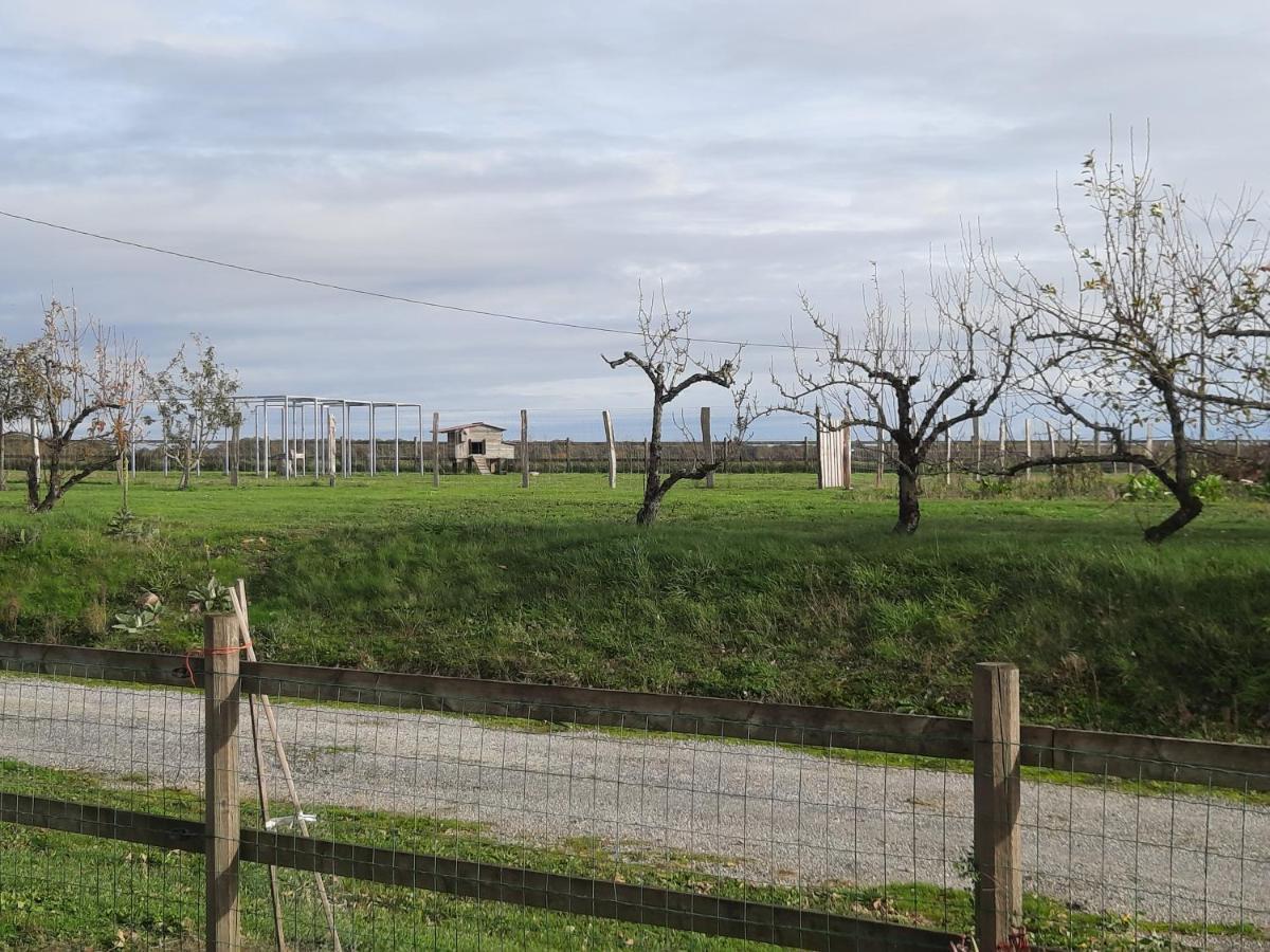Au Temps Retrouve Bed & Breakfast Nouans-les-Fontaines Exterior photo
